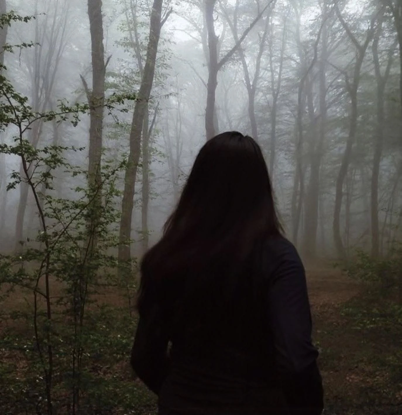 A figure standing in a foggy wood